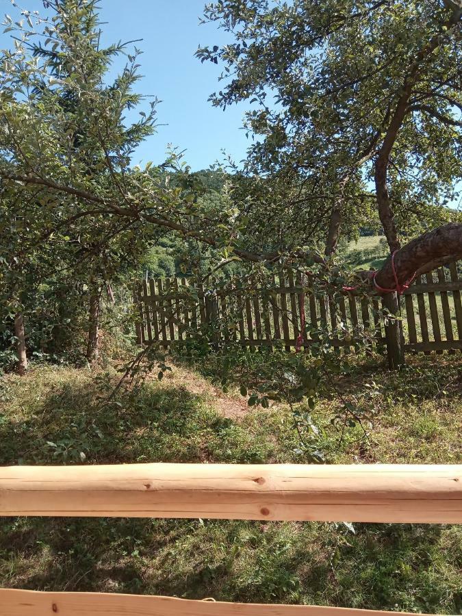 Pokoje U Adama Grajoka Szczawnica Exterior foto